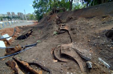 Locomotivas encontradas teriam pelo menos 160 anos (Leandro Guidini)